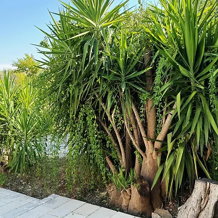 Il Sentiero Lägenhet Bari