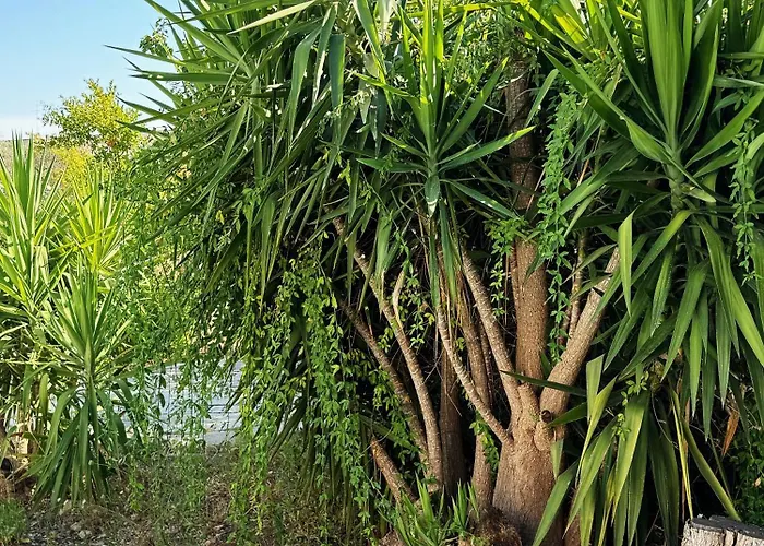 Il Sentiero アパート バーリ