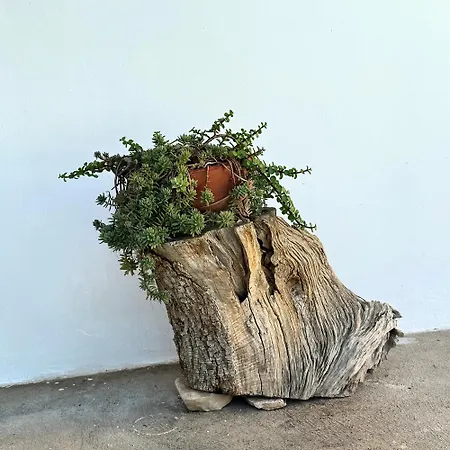 Apartament Il Sentiero Bari