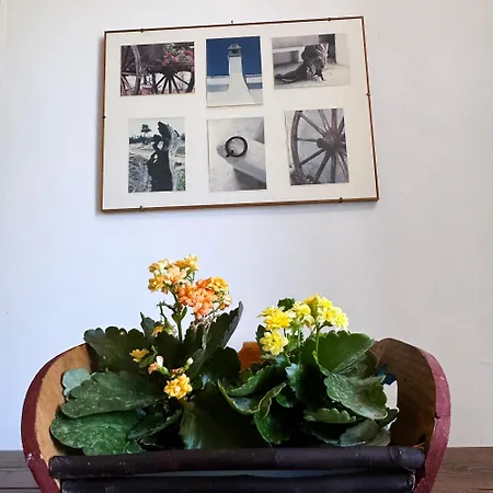 Apartament Il Sentiero *