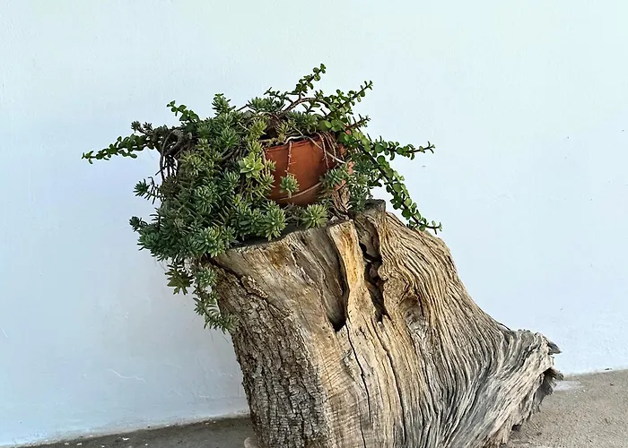 Daire Il Sentiero Bari